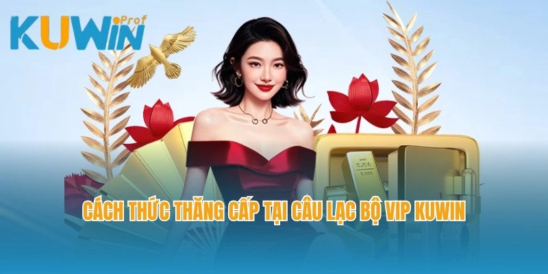 Cách thức thăng cấp tại câu lạc bộ VIP Kuwin cho newbie