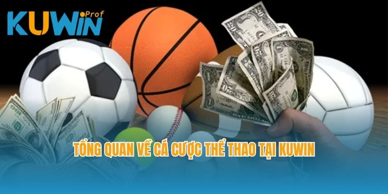 Tổng quan về cá cược thể thao tại Kuwin